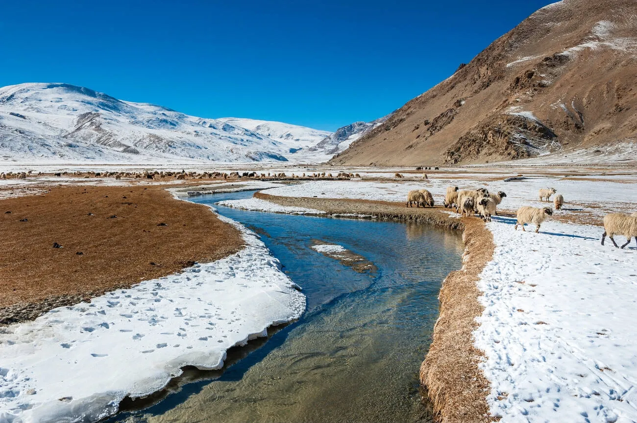 Leh